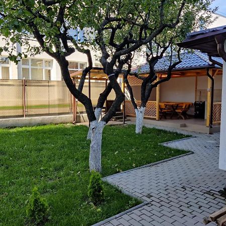 Hostal Casa Marina Călimăneşti Exterior foto